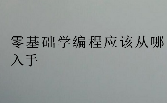 零基礎(chǔ)學(xué)編程應(yīng)該從哪入手