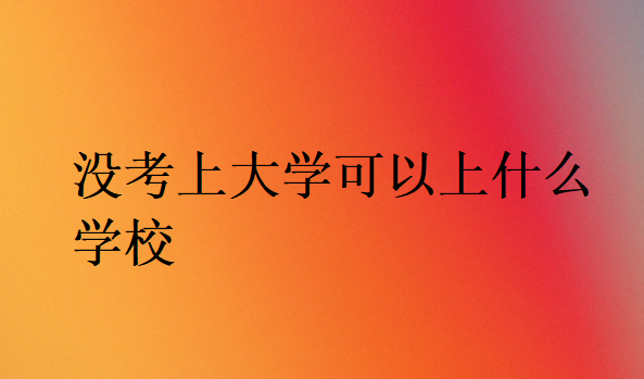 沒考上大學(xué)可以上什么學(xué)校
