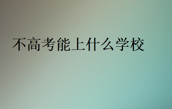 不高考能上什么學校