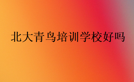 北大青鳥培訓學校好嗎