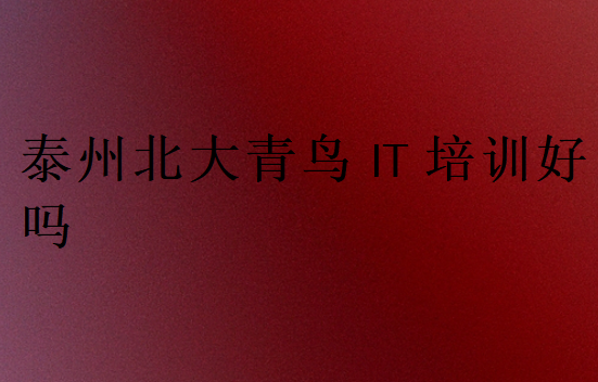 泰州北大青鳥IT培訓(xùn)好嗎