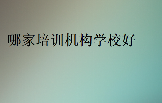 哪家培訓機構(gòu)學校好